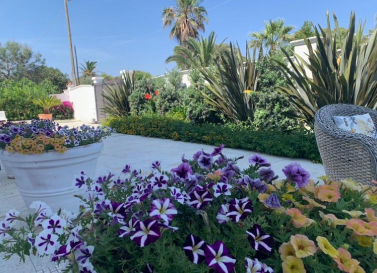 Villa Katy Salento Campomarino  Bagian luar foto